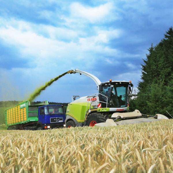 Maishäckseln von Laubenbacher Agrarhandel GmbH & Co. KG