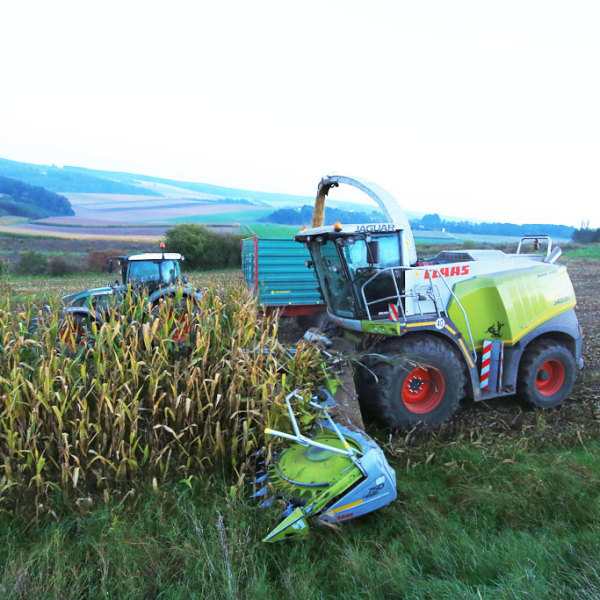 Maishäcksler von Claas von Laubenbacher Agrarhandel GmbH & Co. KG