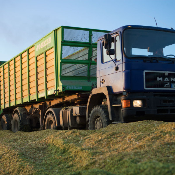 Silagetransport von Laubenbacher Agrarhandel GmbH & Co. KG
